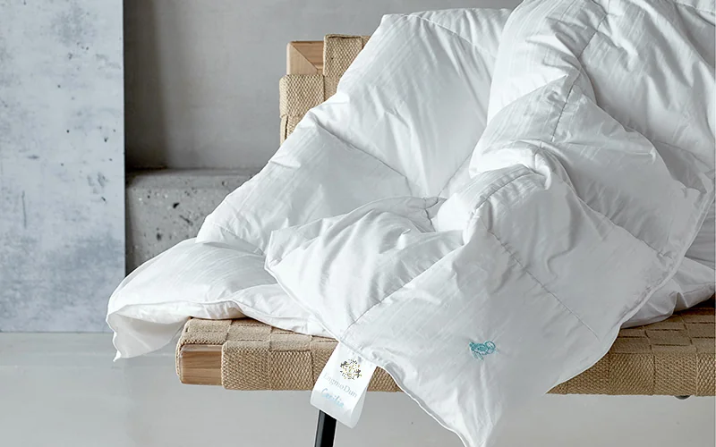 800x500px - Copy.jpg